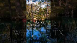 Bluehole Wimberley TX nature texas walkingtrails wimberley naturelovers [upl. by Natala]