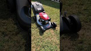 Honda GCV170 milliondollarbaby lawnlife lawncare honda [upl. by Ayouqat]