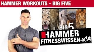 Das Big Five Workout der großen Muskelgruppen [upl. by Eirrehc]