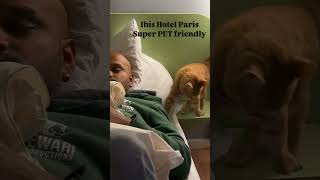 Ibis Hotels in Paris  Super Pet Friendly and really affordable ibishotels pets traveling [upl. by Leyameg]