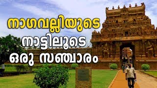 A Journey to the ancient capital of the Chola Kingdom  Sancharam  CHETTINAD  Safari TV [upl. by Akerley]