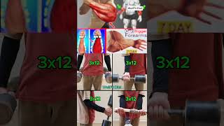 How to get Veiny HandsVeins Workout at Home shorts forearmworkout vascular shorts [upl. by Melesa]