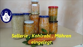 Sellerie  Kohlrabi  Möhren einlegen [upl. by Lash156]