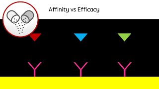 Affinity vs Efficacy  Drug action revision video agonists antagonists  GCSE A Level University [upl. by Am219]