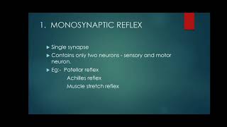 Reflexes  Monosynaptic and Multisynaptic Reflexes [upl. by Epillihp195]