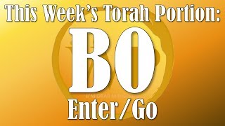 READING THROUGH TORAH WITH WP BO [upl. by Rohpotsirhc874]