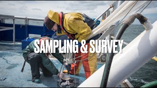 ECO 2024 Autumn Sampling amp Survey [upl. by Yerffoj930]