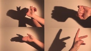 How To Make Shadow Puppets With Your Hand [upl. by Essyla]