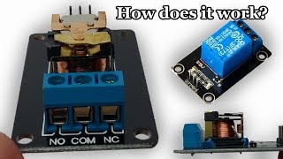 Inside of a SRD05VDCSLC And How a Relay Works [upl. by Leemaj888]