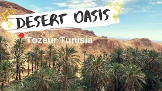 TOZEUR TUNISIA  TOUR OF THE DESERT OASIS توزر‎ travel vlog 2019 [upl. by Ettesyl]