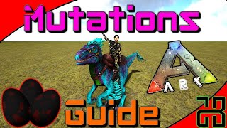 Mutations Guide  How to Stack Mutations  ARK Survival Evolved [upl. by Aubry751]