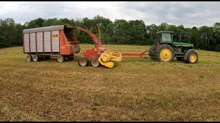 Chopping Alfalfa Haylage [upl. by Navar515]