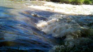 Hydraulic jump on the Cache la Poudre River [upl. by Annahoj]