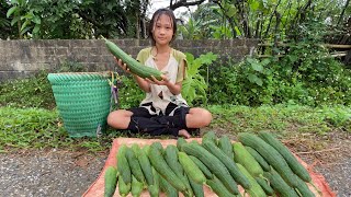 On a rainy day an orphan girl makes a stand for pots and pans picks vegetables and sells squash [upl. by Notnil]