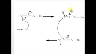 Acetatemevalonate pathway [upl. by Lerud]