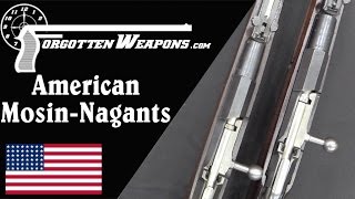 American Mosin Nagant Rifles [upl. by Yerxa]