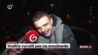 Vodiča vyrušil pes na snouborde NOVINY TV JOJ [upl. by Cleres965]