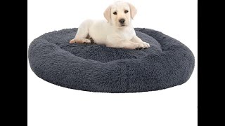 Ultimate Comfort for Your Pets 🐾 Washable dog bed dogs dogbeds pet petlover animals doglover [upl. by Dunstan]