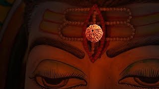 रुद्राक्ष का क्या रहस्य है और महिमा  Rudraksha Ka kya Rahasye hai or mahima [upl. by Potts]