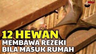 JANGAN DIUSIR  12 Hewan Pembawa Rezeki Jika Masuk Rumah [upl. by Eelatsyrc]