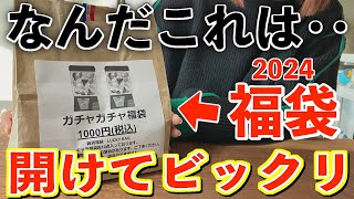 【福袋2024】なんだこれ‥秋葉原で見つけた『ガチャガチャ福袋』の中身が予想外でした。【ガチャ｜福袋｜アニメ福袋】 [upl. by Nhoj]