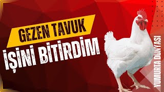 GEZEN TAVUK İSİNİ BIRAKTIM [upl. by Consalve]