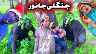 Zangali Zanawar Pashto New Funny Video 2023 by Tuti Gull Official [upl. by Leahey]