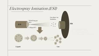 Quickly understand various types of LCMS [upl. by Ystap]