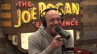 Joe Rogan Experience 2106  Kid Rock [upl. by Groves930]