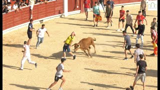 VAQUILLAS 9 SEPTIEMBRE FERIA ALBACETE 2023 [upl. by Essinger83]