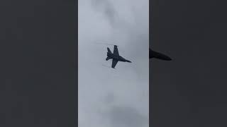 F18 Hornet Solodisplay at Flugshow SpeckFehraltorf [upl. by Buckley]