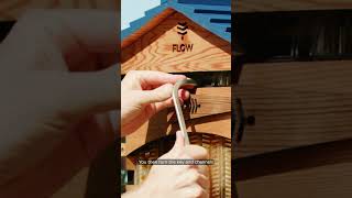 Flow Hive how it works beekeeping flowhive animalhusbandry bees [upl. by Esadnac]