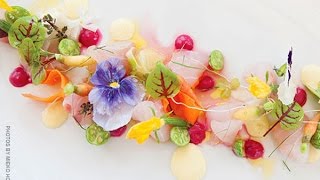 Beautiful Sashimi [upl. by Mini]