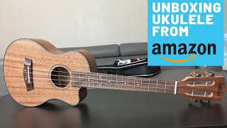 AOJIM Tenor Ukulele from Amazon [upl. by Umeh]