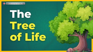 The Hidden Meaning Behind the Tree of Life [upl. by Anirad]