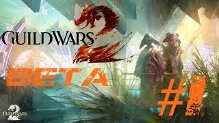 Lets Play Guild Wars 2 Beta Asura Dieb Deutsch Part 1 German Walkthrough Gameplay 1080p [upl. by Eldwen]