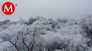 Cae nieve en 9 municipios de Durango [upl. by Ellehsem]