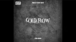 Ayan Abbas  COLD FLOW  Official Audio  Prod veedybeats [upl. by Aixela]