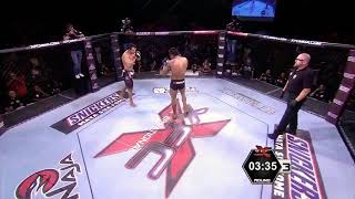 Mae Geri Kick in MMA knock out [upl. by Aitnyc]