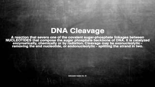 Medical vocabulary What does DNA Cleavage mean [upl. by Gelman]