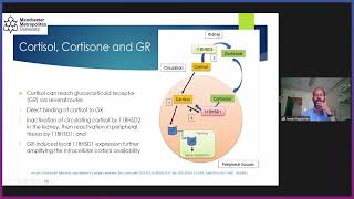 Addisons Disease Day Talk  Metabolic Syndrome as a Cushingoid Precursor [upl. by Adnilreh405]