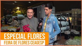 ESPECIAL FLORES FEIRA DE FLORES CEAGESP [upl. by Alliuqat26]