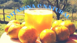 🍊 Como fazer suco de mexerica caipira [upl. by Narba]