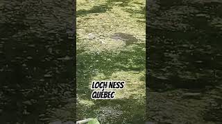 LOCH NESS QUÉBEC nature scary monstre monster [upl. by Nayr]