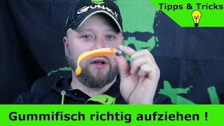 Gummifisch richtig auf den Jighaken aufziehen so wird es gemacht [upl. by Pennie]