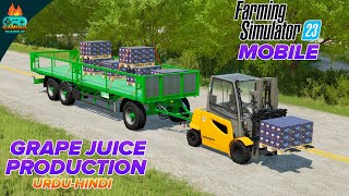 Farming Simulator 23 Making Grapes Juice and Raisins  Production chains FS 23 [upl. by Anadroj471]