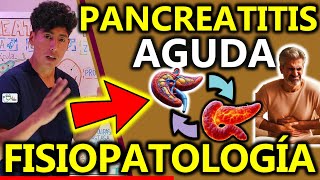 PANCREATITIS AGUDA Y CRONICA FISIOPATOLOGÍA  GuiaMed [upl. by Eltrym752]