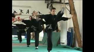 DVD 006 BA QT Kung fu de combat  Sanda amp Sanshou [upl. by Raskin]