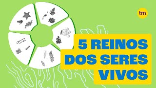 Conheça os 5 Reinos dos seres vivos [upl. by Qooraf]