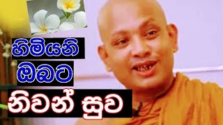 බොරැල්ලේ කෝවිද හිමිගේ නික්ම යාම Anil Roshan Vlogs [upl. by Theona518]